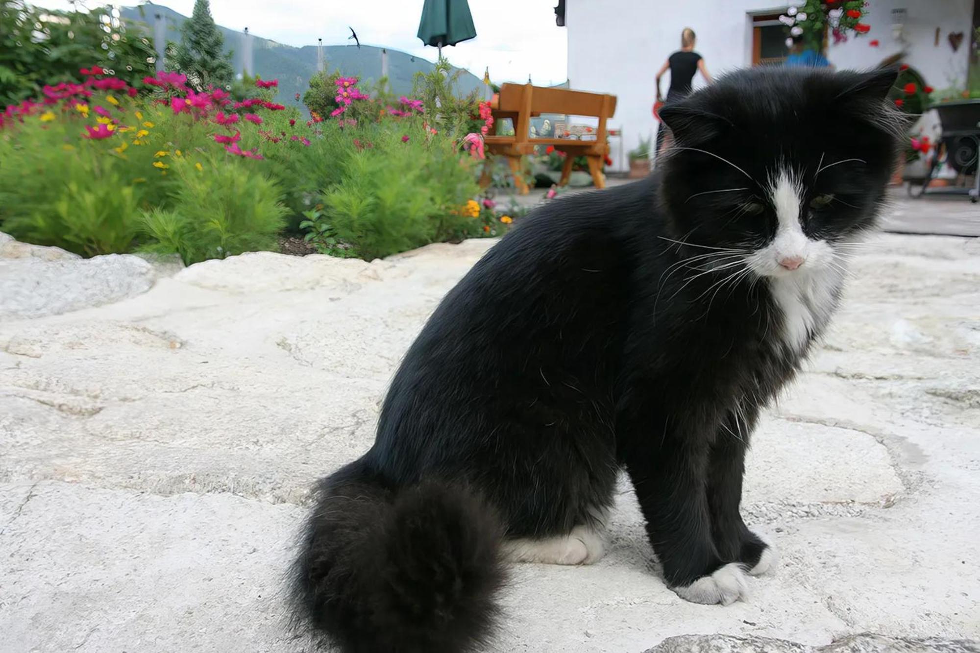 Binterhof Villa Planca di Sopra Dış mekan fotoğraf